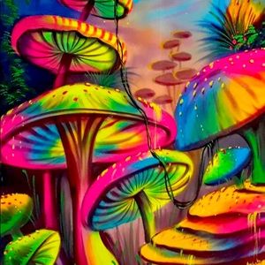 Meet your Posher, Shiloh